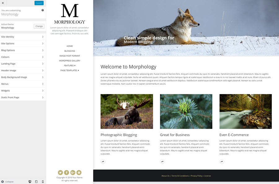 theme-customizer